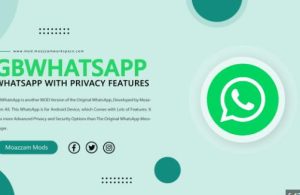 Personalizing Your Baixar GB WhatsApp Experience