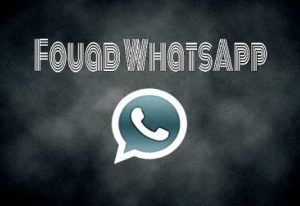 Tips for Getting More from Fouad WhatsApp