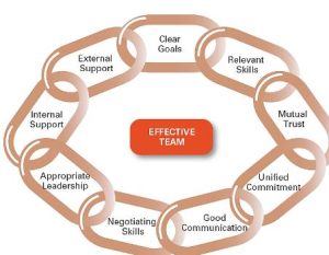 What Characteristics Define an Effective Team Member?